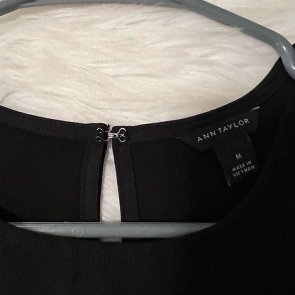 Gorgeous Embroidered Detail Ann Taylor Top Medium Excellent Condition - Picture 5 of 6